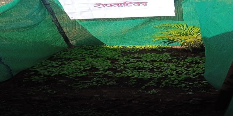 WhatsApp Image 2025-12-16 at 4.52.16 PM