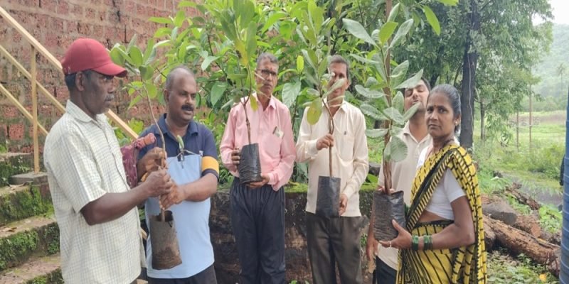 WhatsApp Image 2025-12-16 at 4.52.17 PM